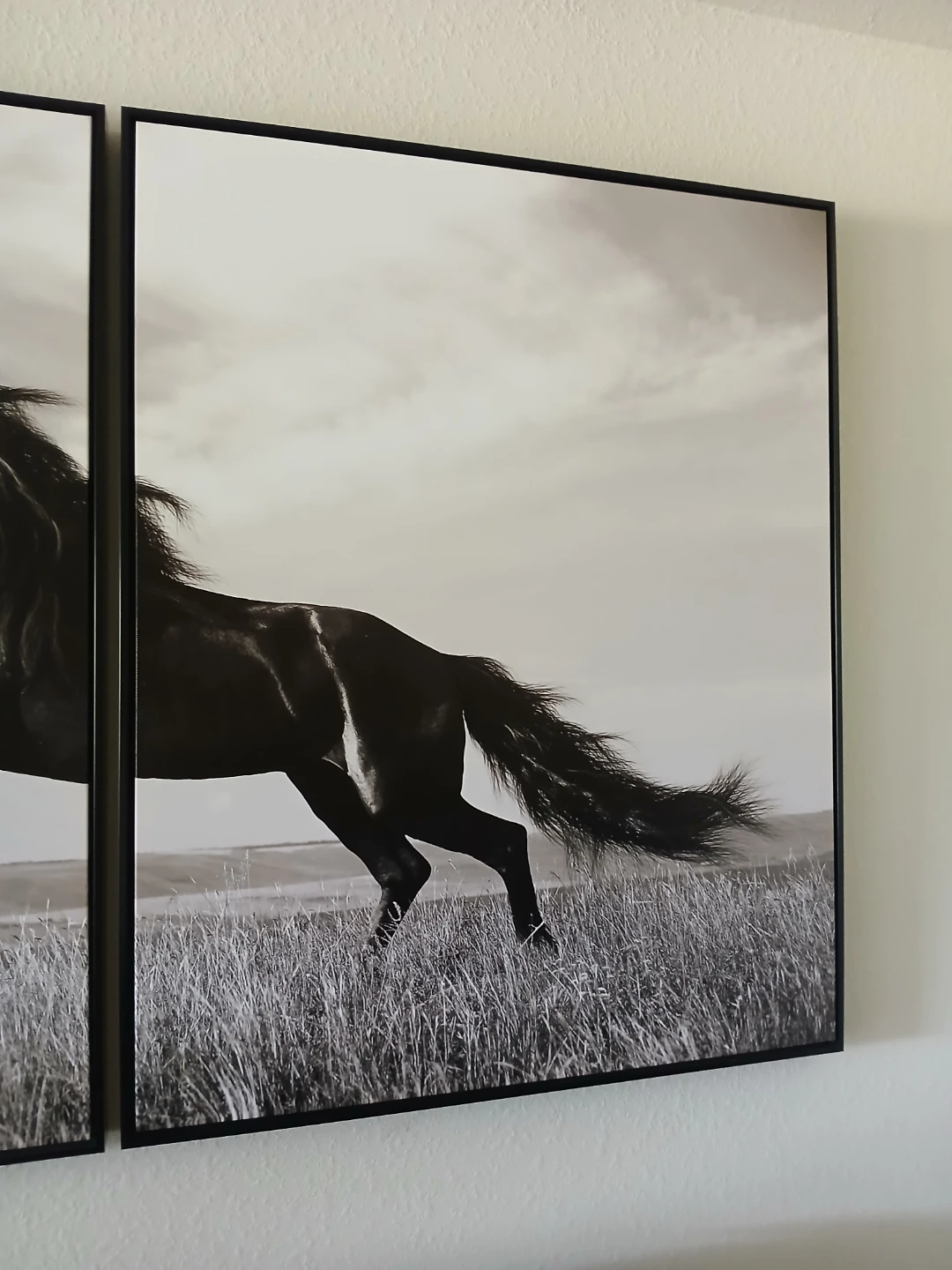 Black and White Horse Wall Art Set - photo 3