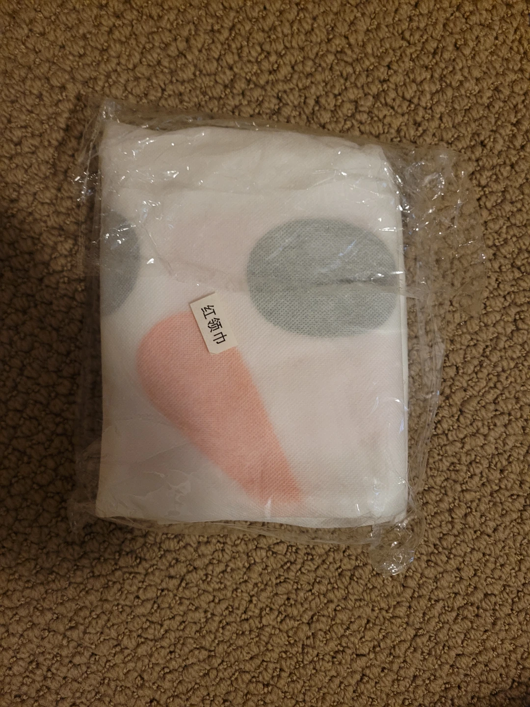 Snowman plant protection cover - photo 4