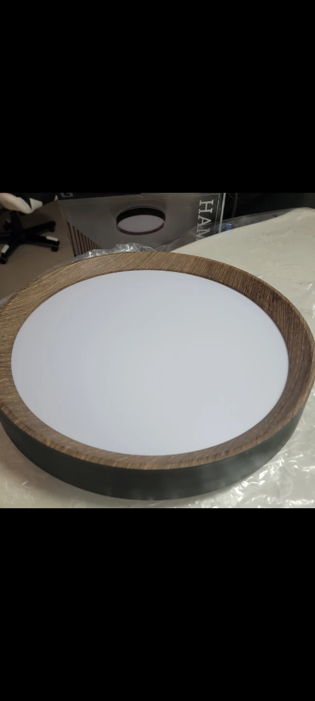 Hampton Bay Flush Mount Ceiling Light