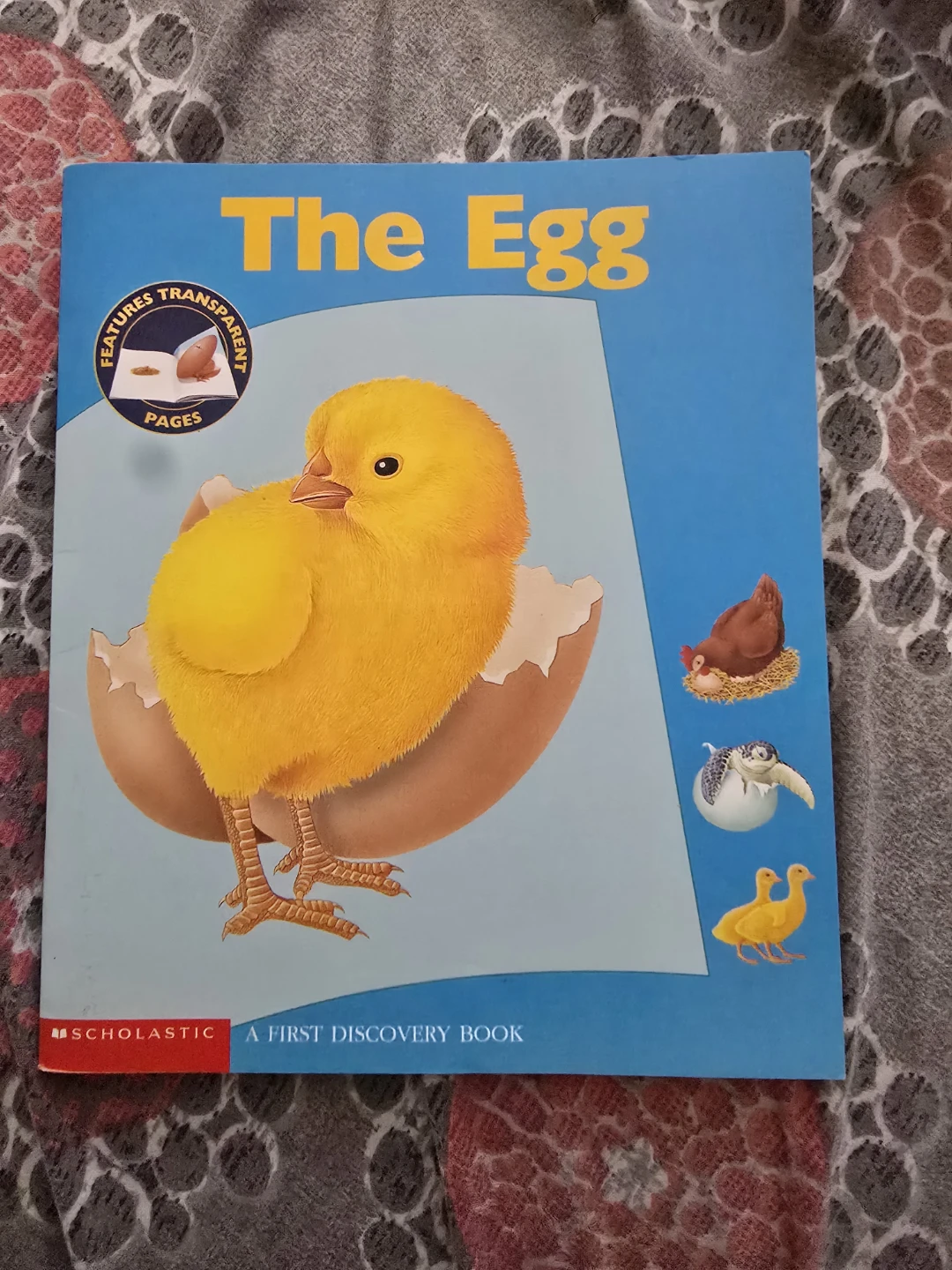 🏈 The Egg: A First Discovery Book by Scholastic