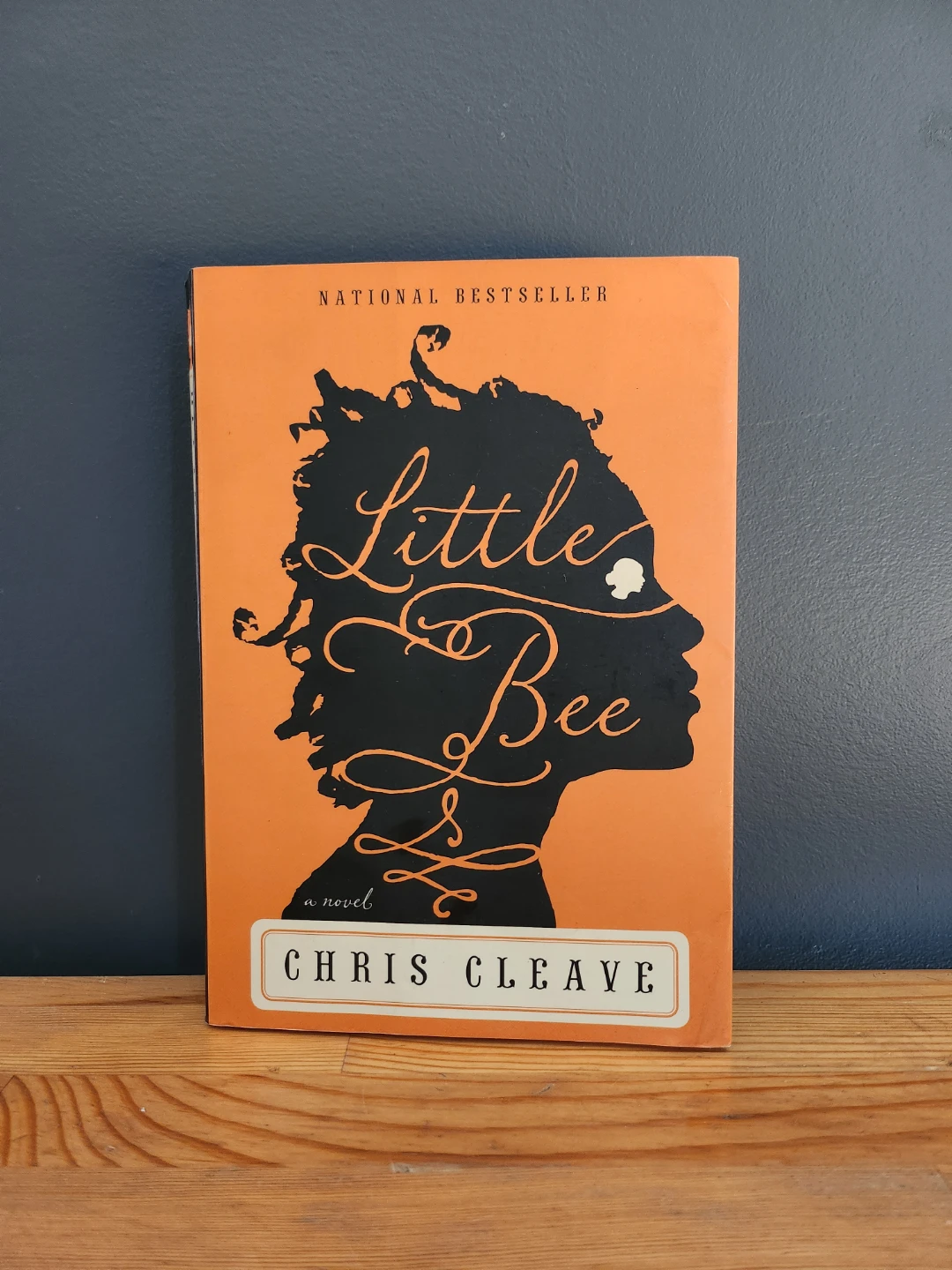 Little Bee by Chris Cleave Paperback Novel