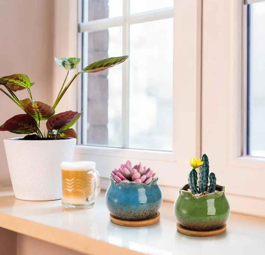 Set of Ceramic Succulent Planters with Bamboo Trays - photo 3