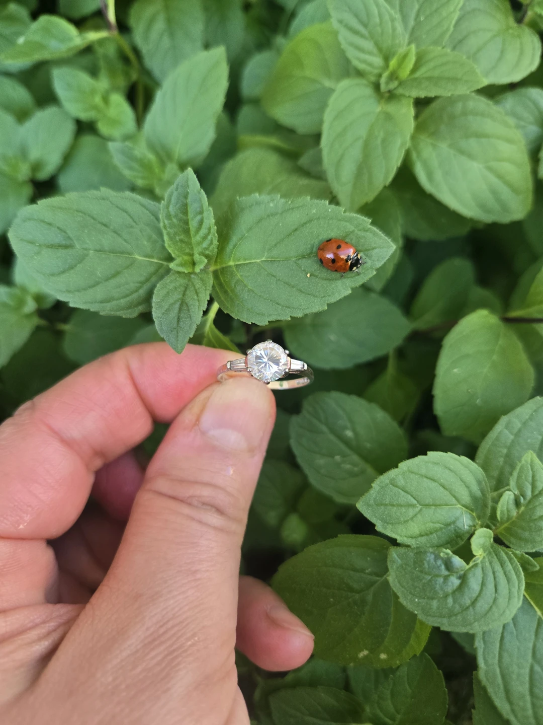 925 Sterling Silver Three Stone Ring