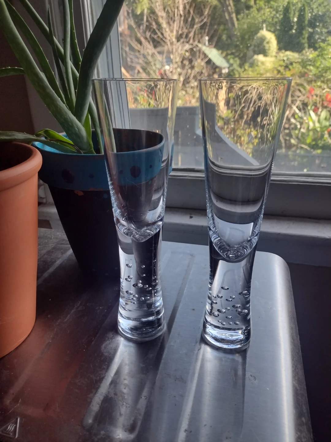 Crate and Barrel Verve Flute glasses