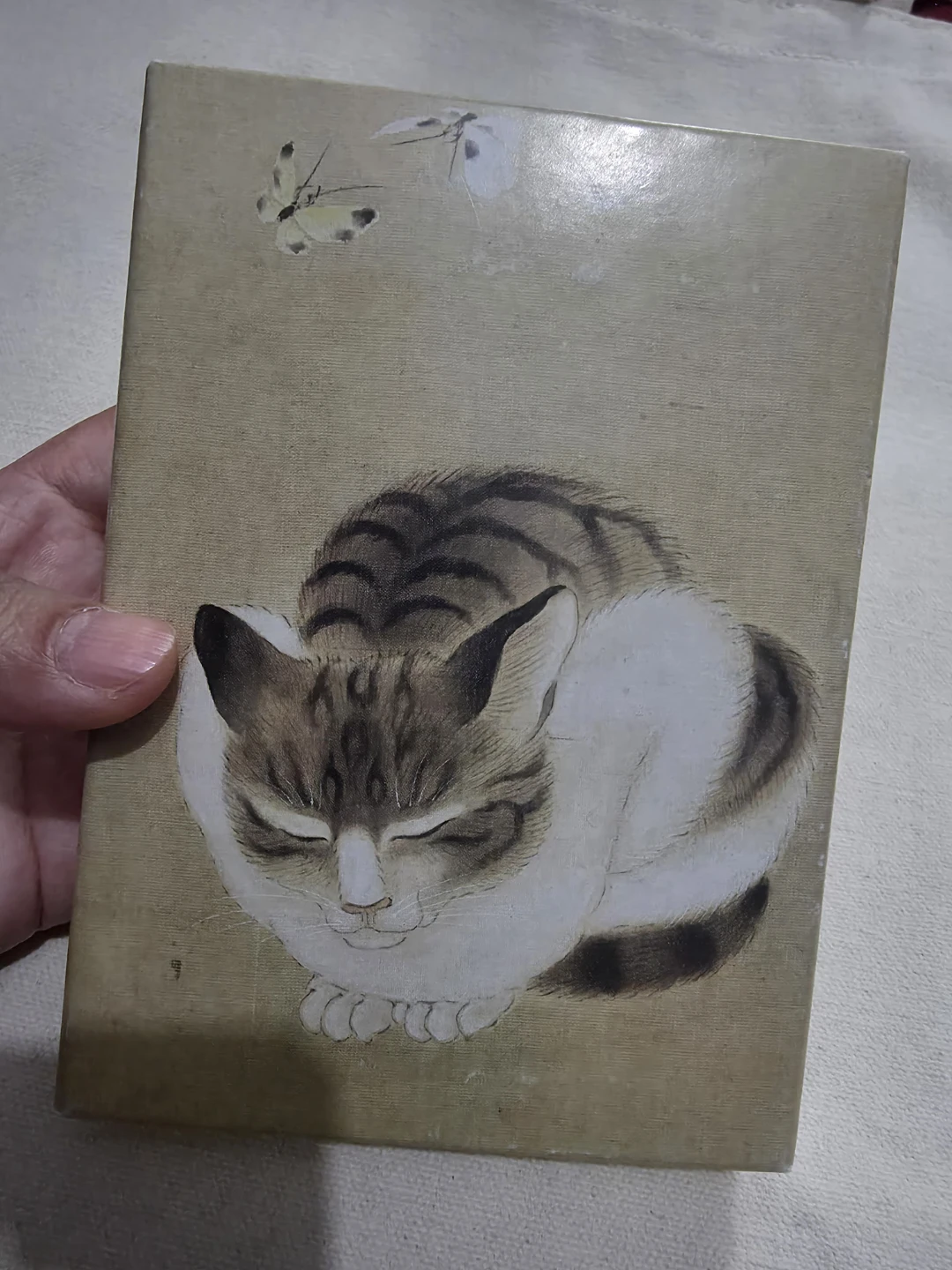 Pomegranate Sleeping Cat and Butterflies Notecard Set 6ct 🏈