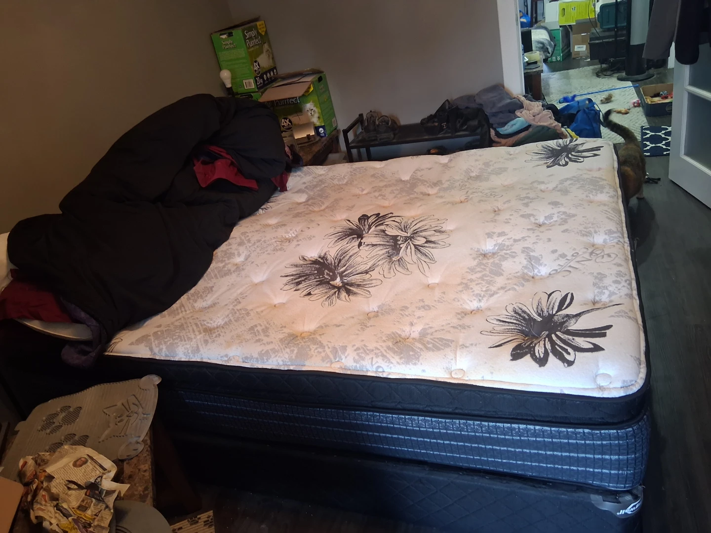 Queen size mattress and box spring - photo 2
