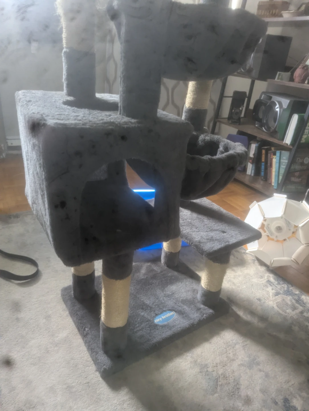 Hey-Brother Cat Tree and cat items (food, dishes, etc)
