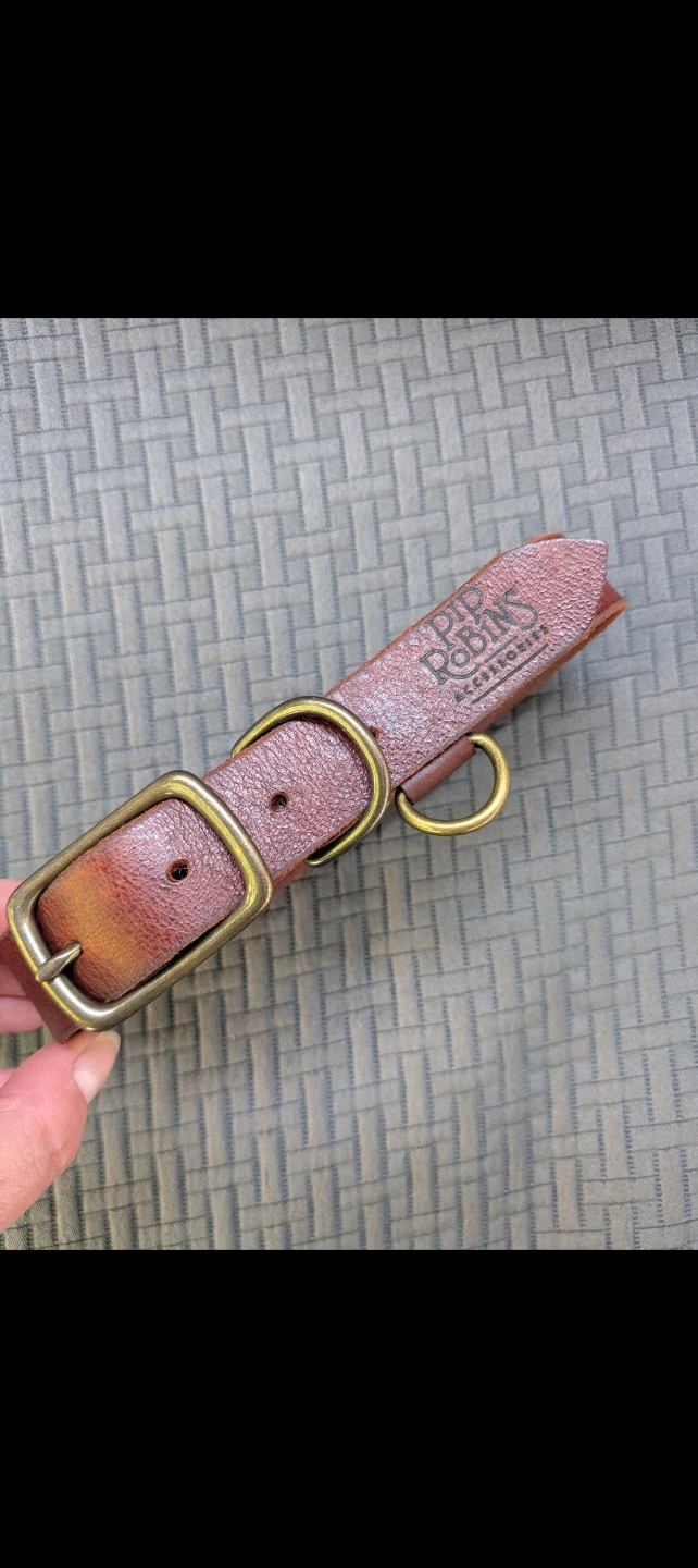 Pip Robins Leather Dog Collar - photo 3