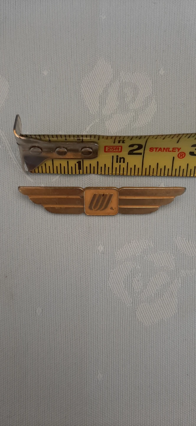 Vintage United Airline Stewardess Wings. - photo 2