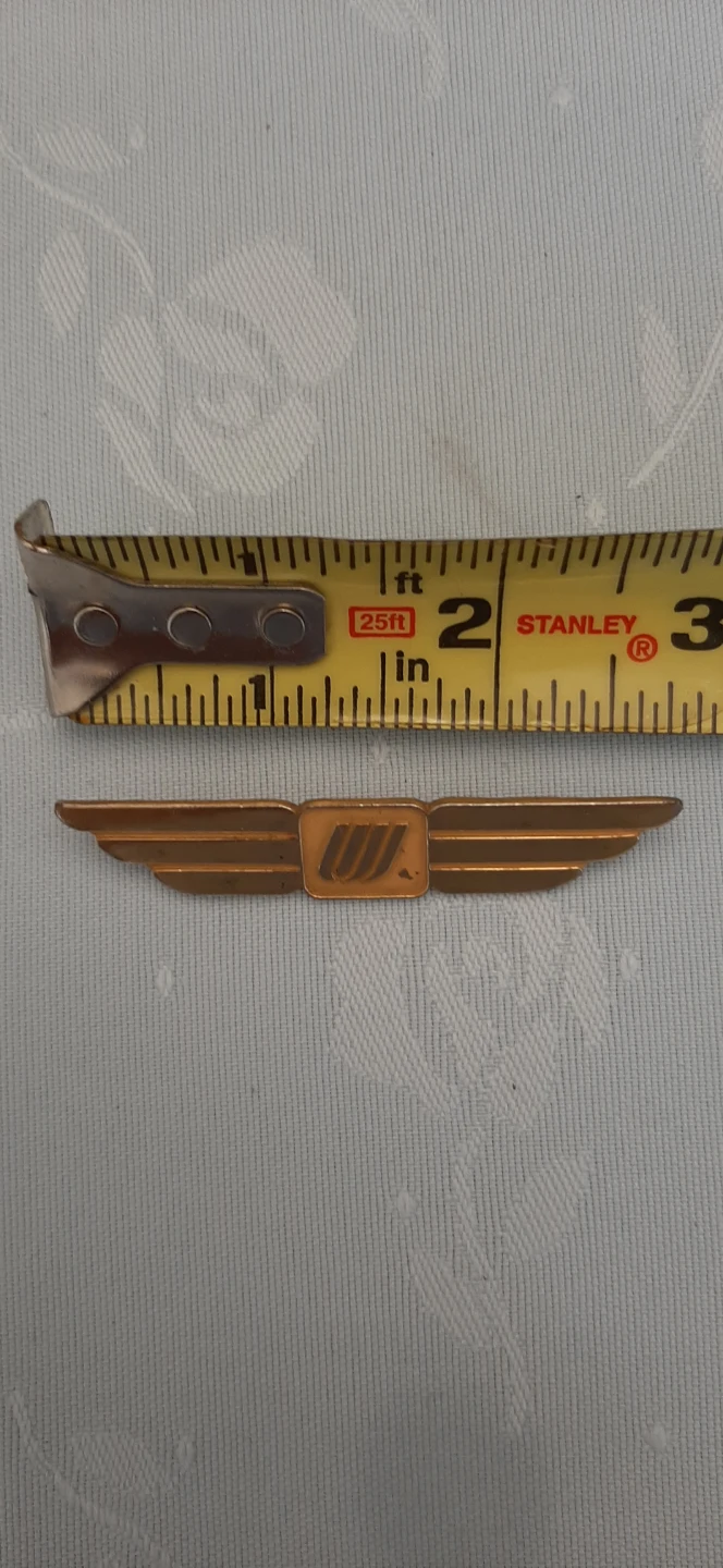 Vintage United Airline Stewardess Wings. - photo 4