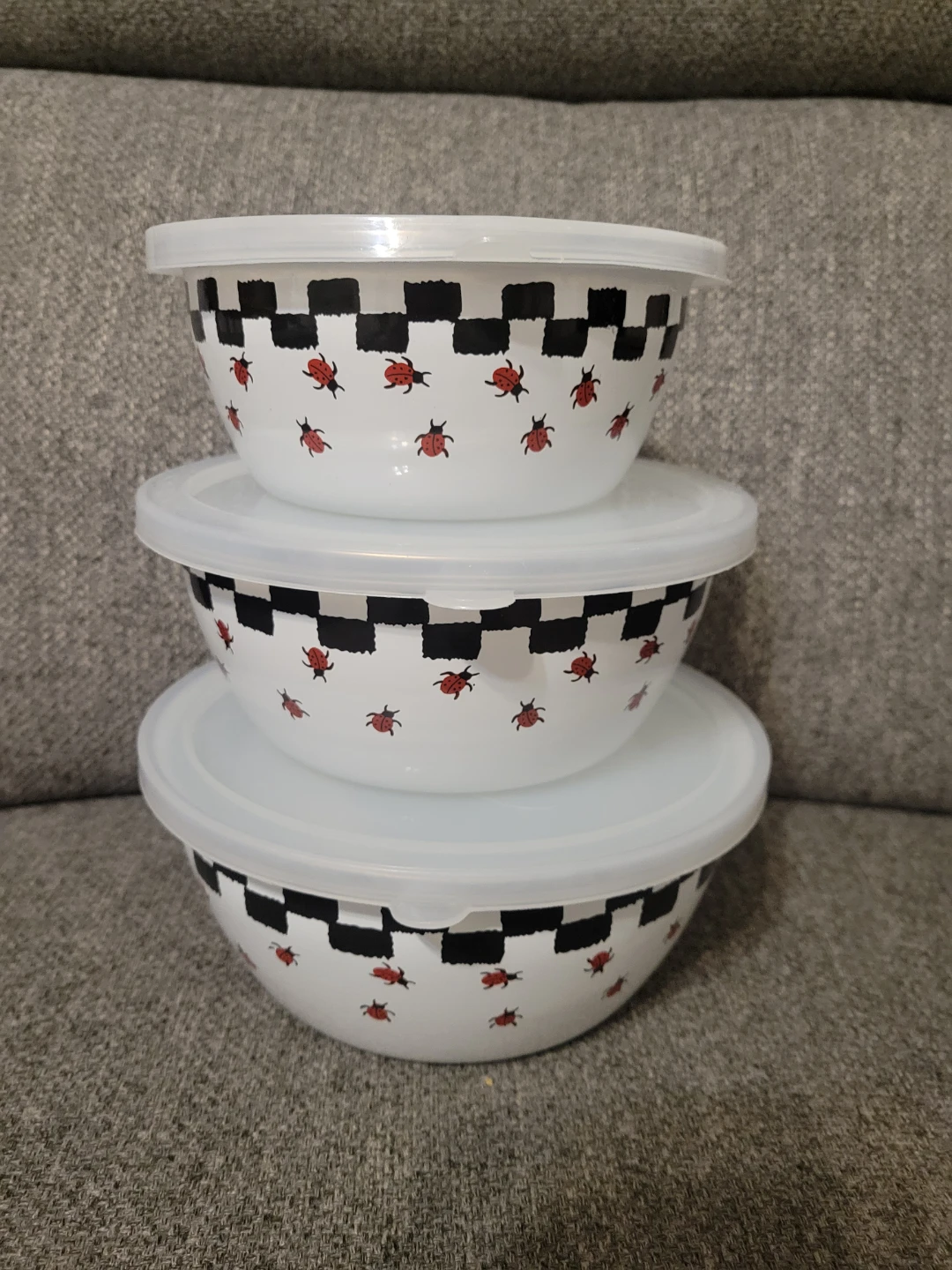 Set of 3 Lady Bug Bowls with Lids (Food Safe)
