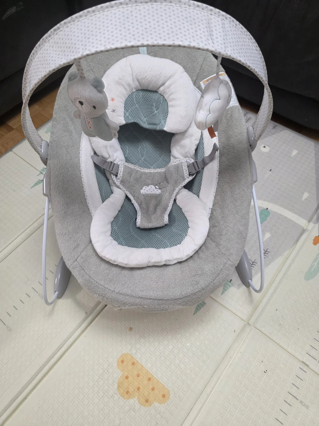 Ingenuity SmartBounce Automatic Bouncer