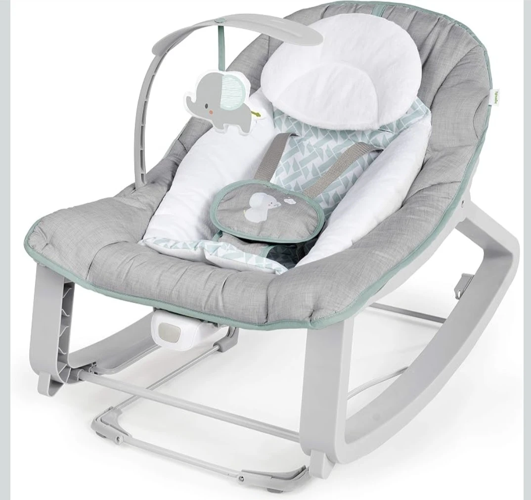 Ingenuity Baby Bouncer and Rocker