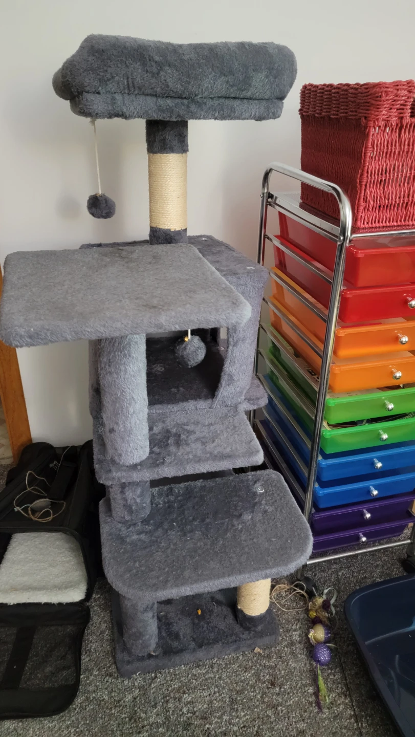 Cat Tree