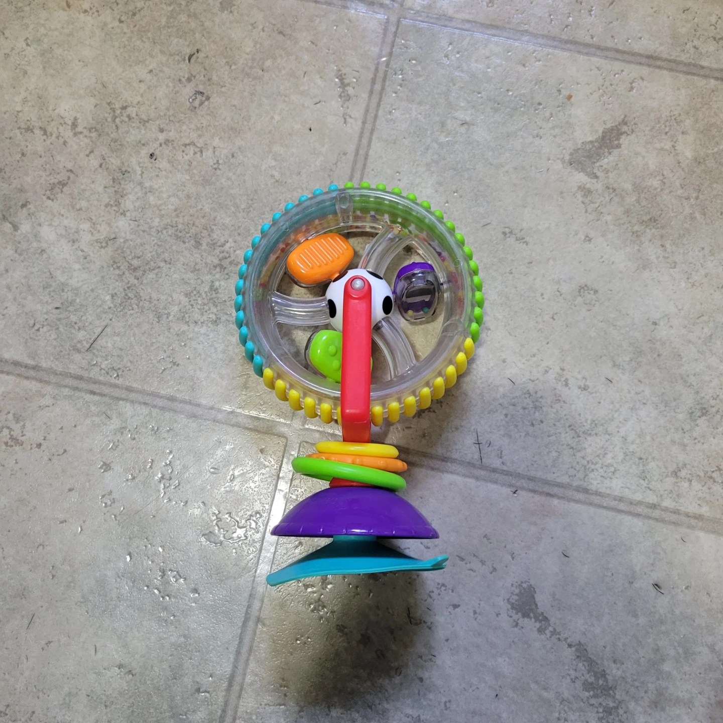 Sassy Wonder Wheel Suction Toy 🏈