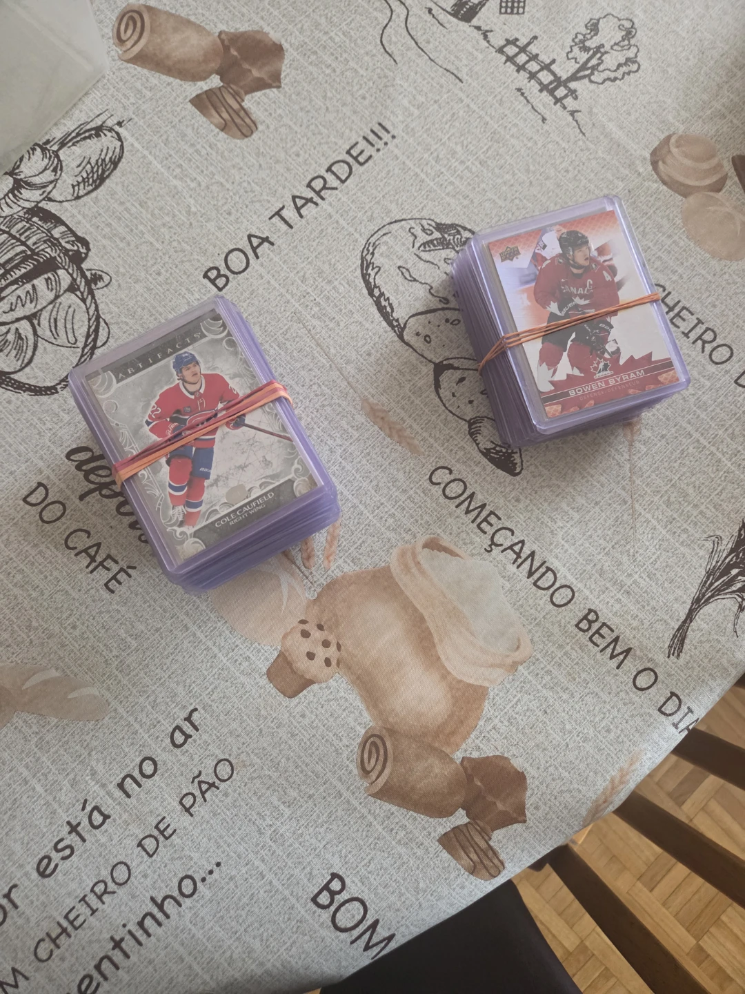 Hockey Cards with Protective Top Loaders