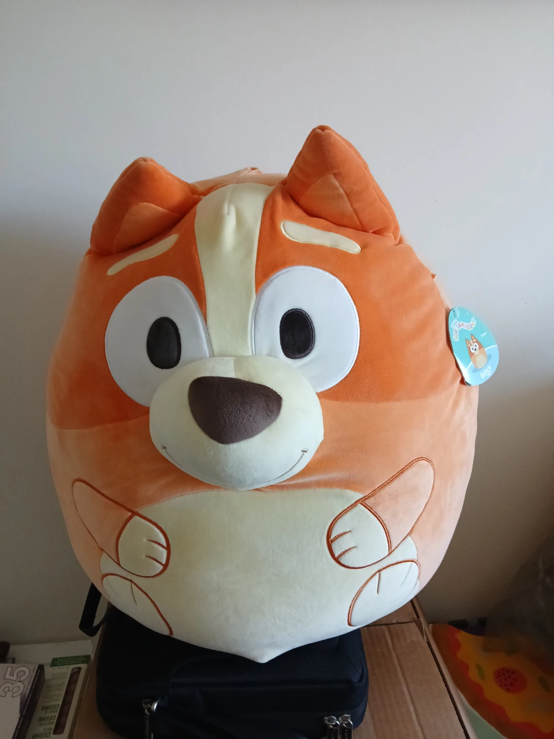 Squishmallows Bingo Plush