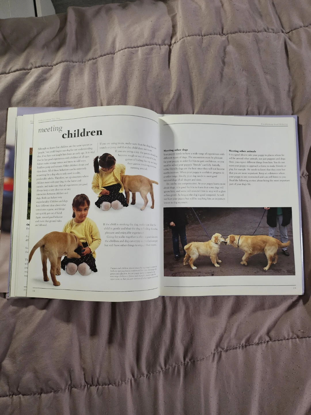 Understanding Your Dog Training Illustrated Guide Book - photo 5