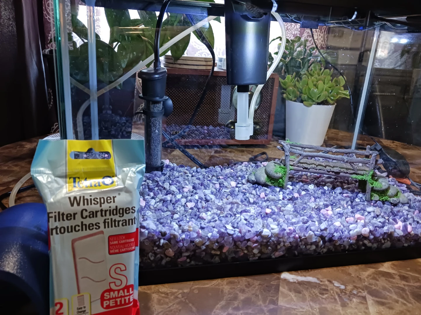 Glass Aquarium Tank 5 gallons with everything in the picture - photo 2