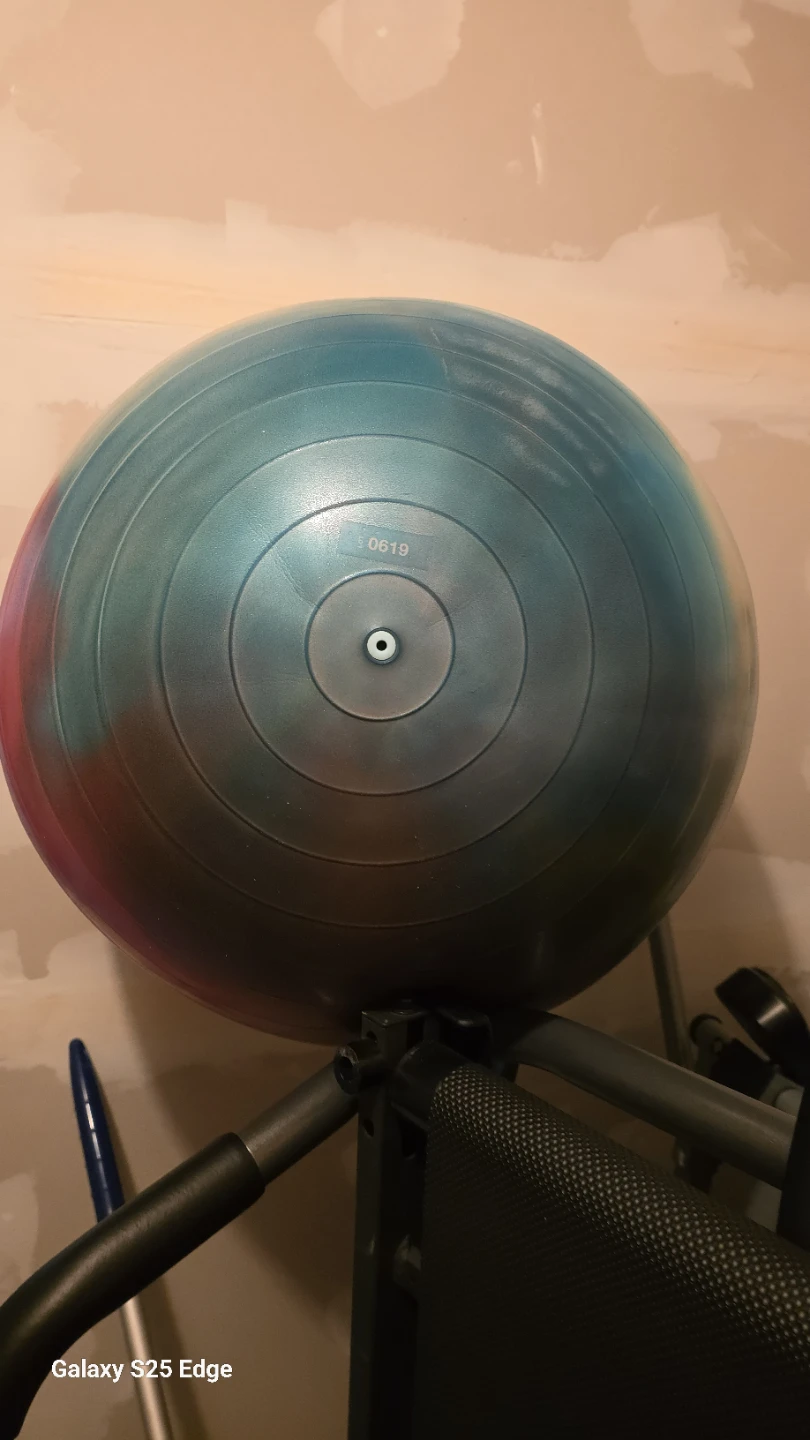 Gymnic Arte Exercise Ball