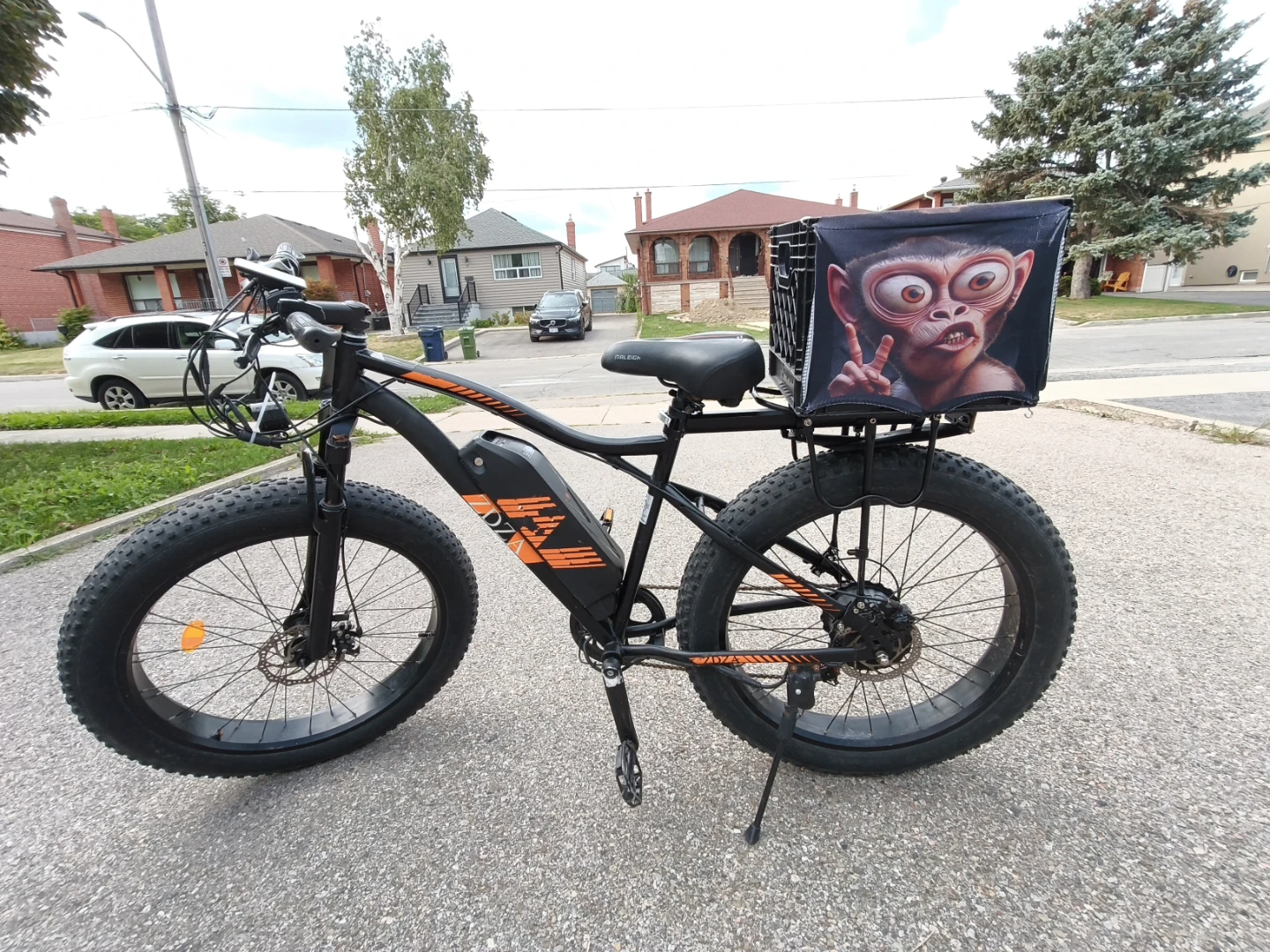 ZDZA Fat Tire Electric Bike - photo 3