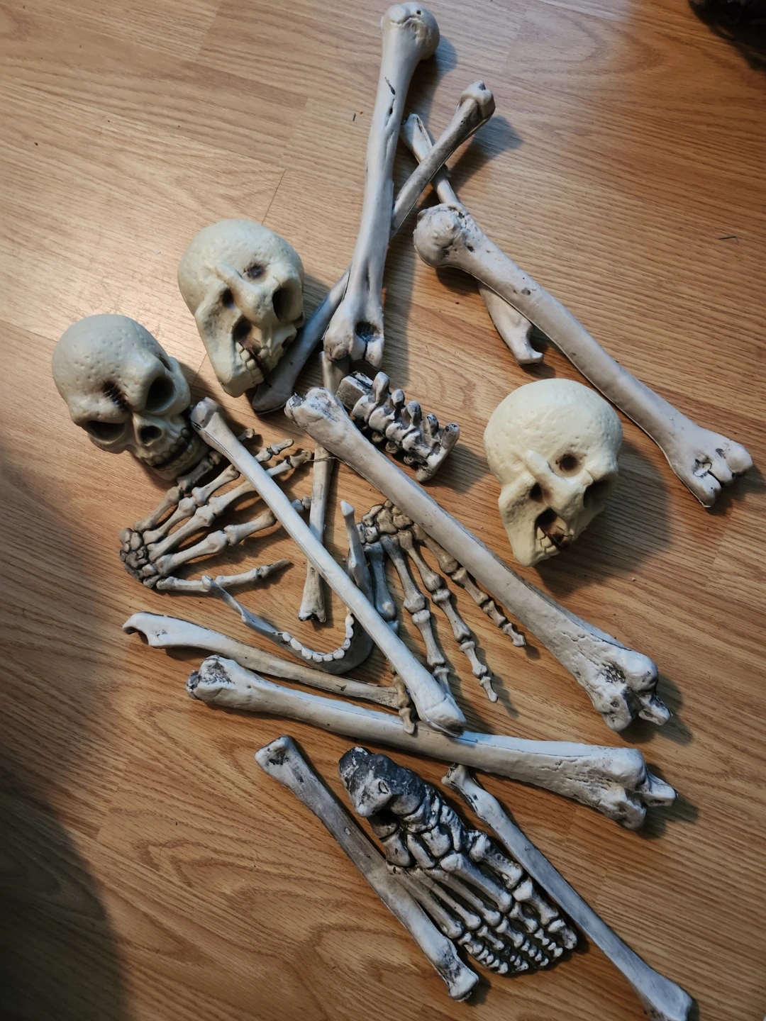 Halloween Skeleton Decor Bundle