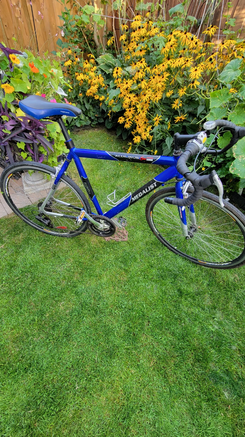 Blue 700 "Medalist" Road Racing Bike-$290 - photo 3
