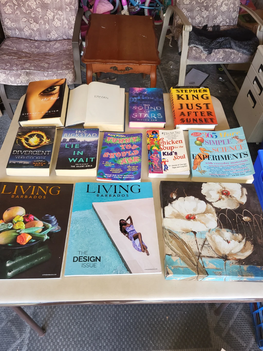 Assorted Book Collection and Knit Scarf