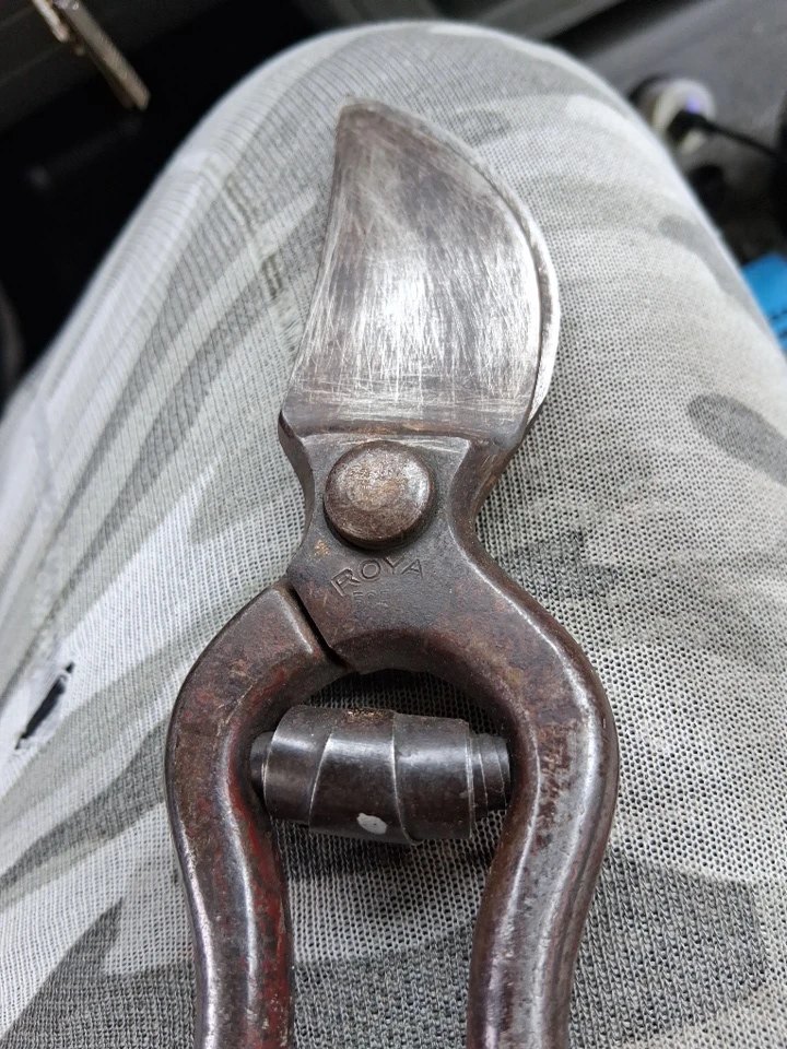 Royal pruning shears
