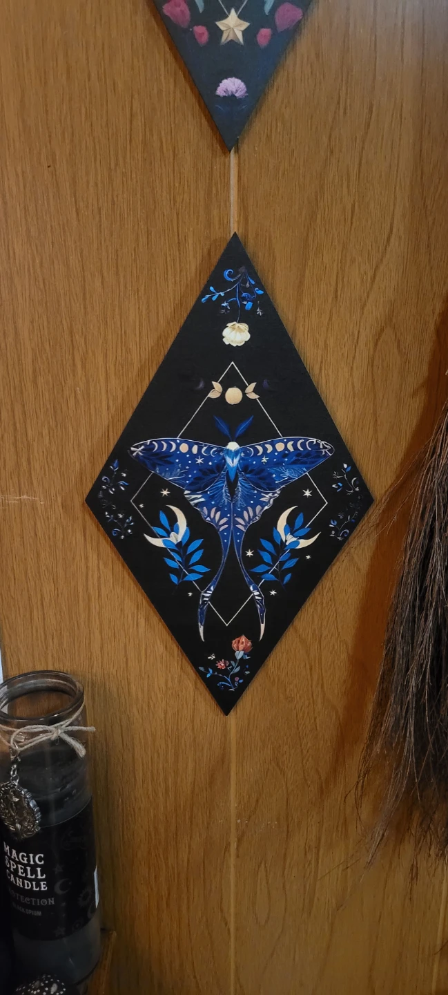 Wooden Moth Wall Decorations - photo 4