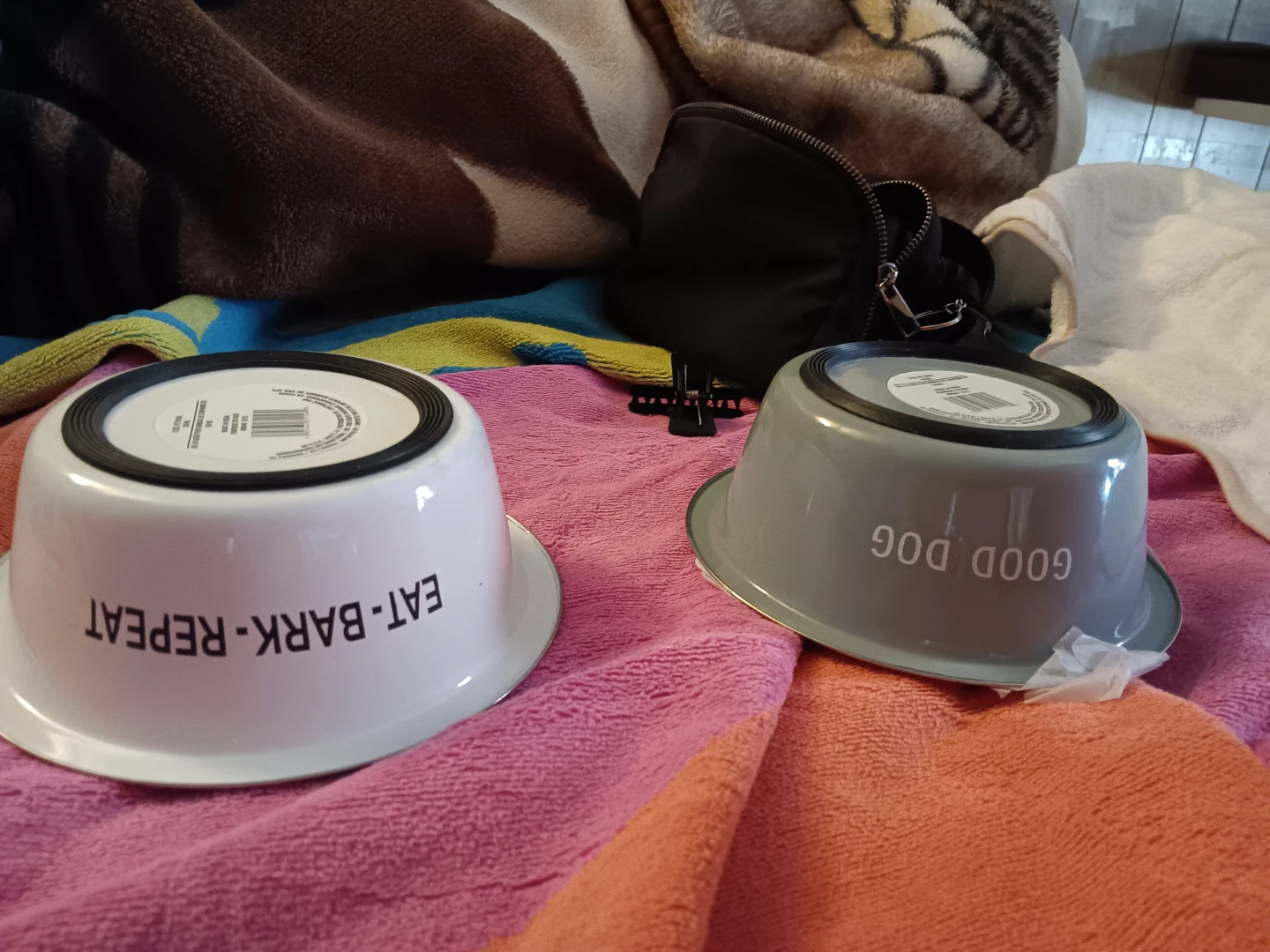 Set of Two Pet Bowls