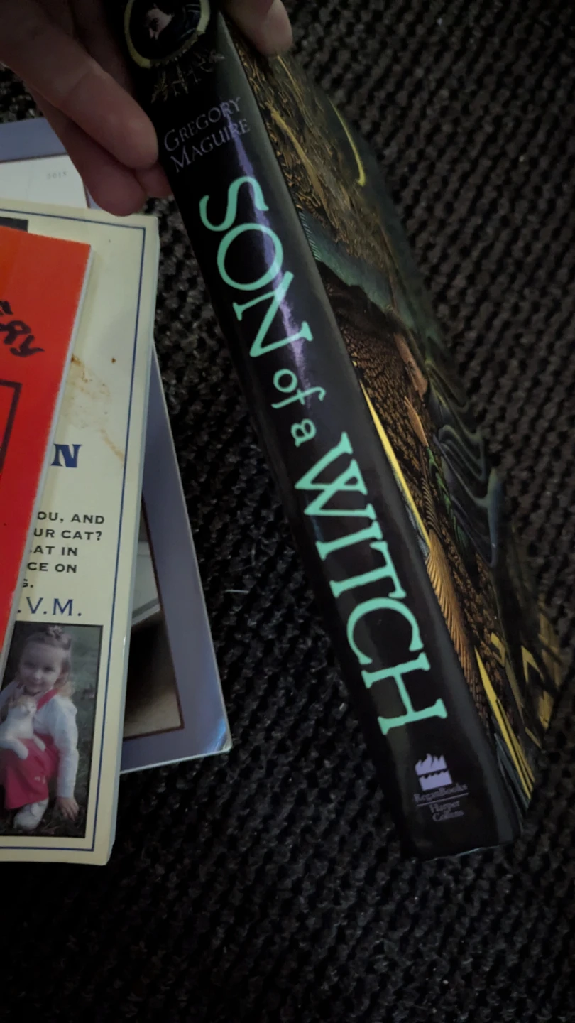 Son of a Witch by Gregory Maguire - photo 2