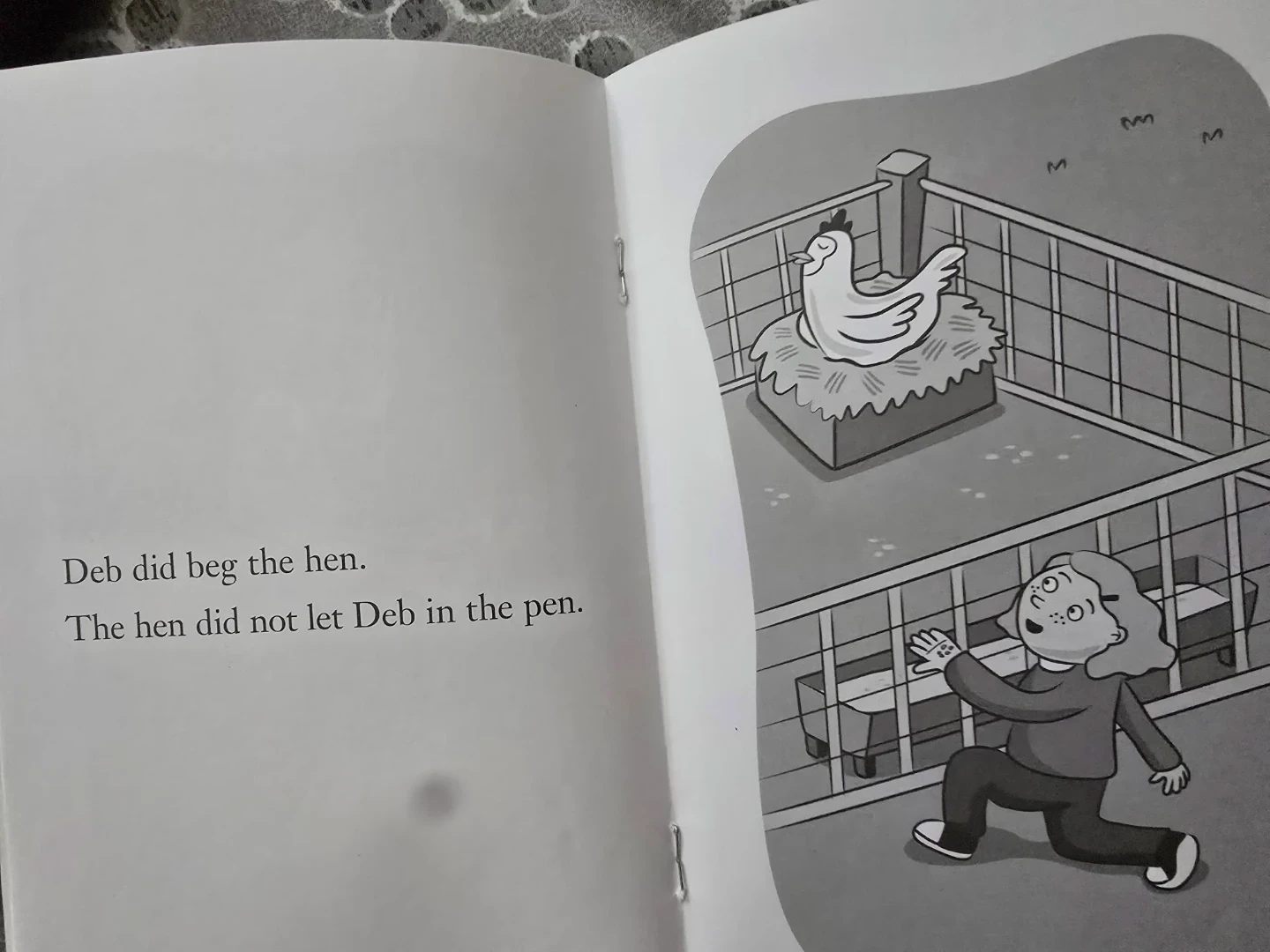🏈 The Pet Hen - S.P.I.R.E. Level 1A Reading Book - photo 2