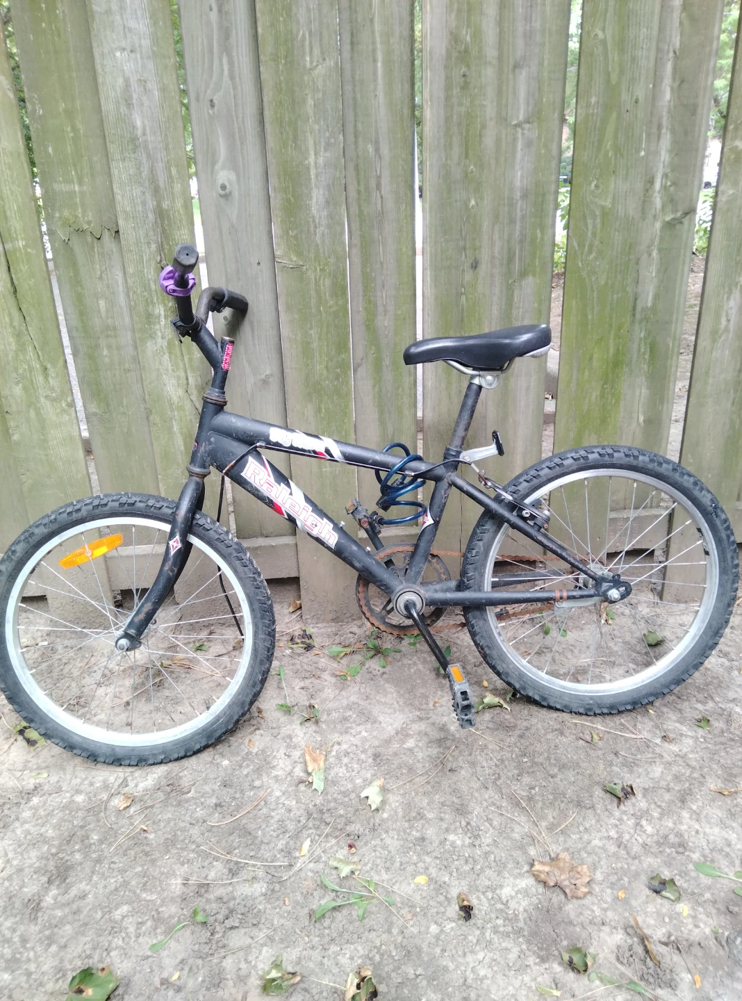 Raleigh Big Horn Kids Bike