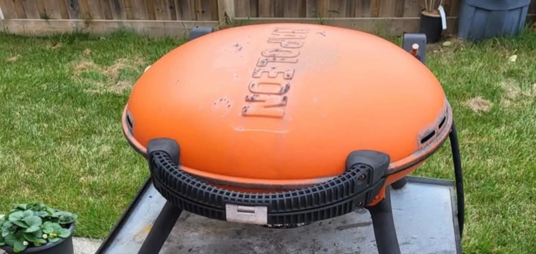 Napoleon TravelQ Portable Grill - photo 2