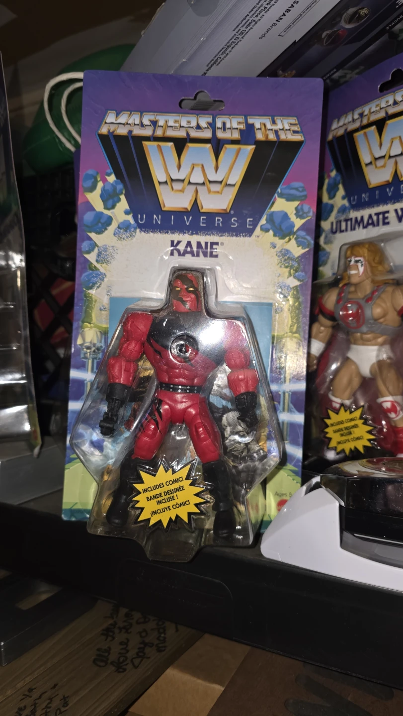 Masters of the Universe WWE Action Figures - photo 4