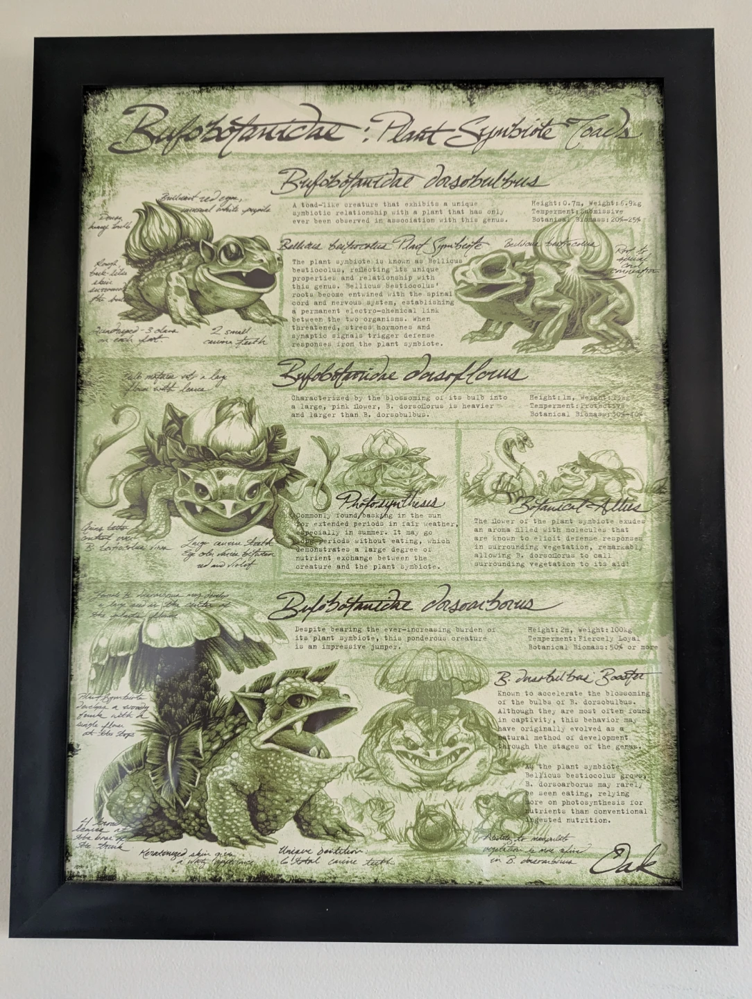 Original Starting Pokemon "Studies of Evolution" Poster Series - photo 2