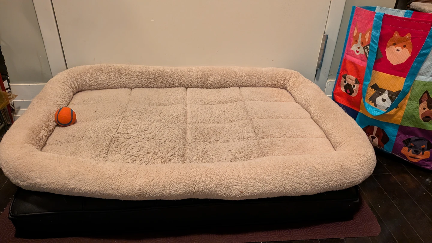 Dog Beds, Supplies Bundle - photo 2
