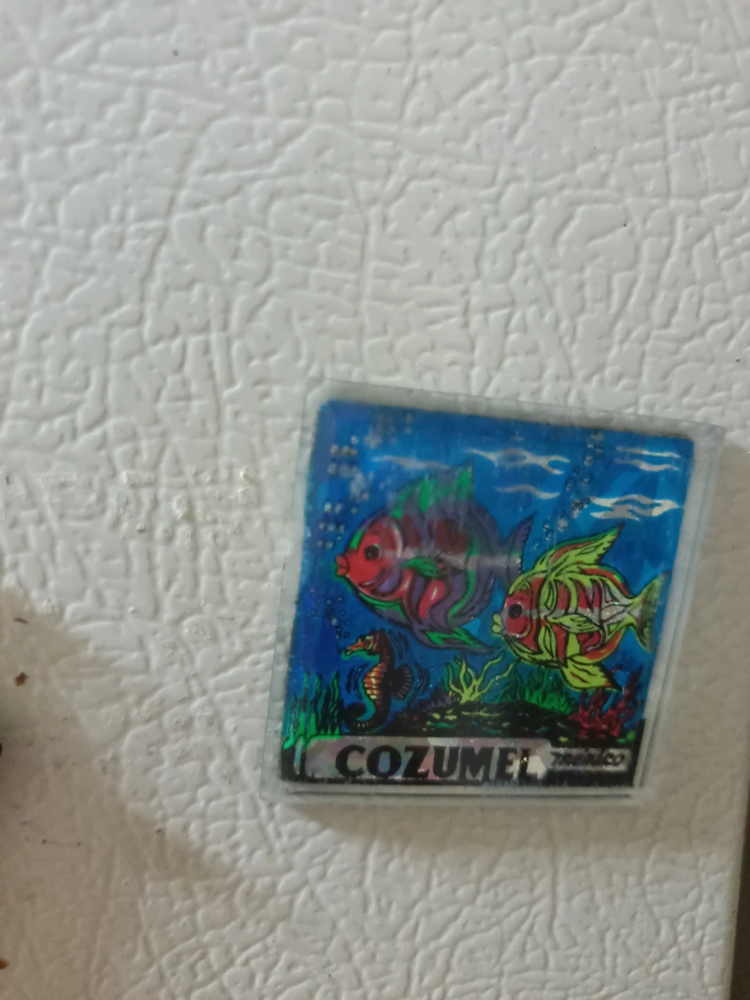 Cozumel Fish Refrigerator Magnet🏈