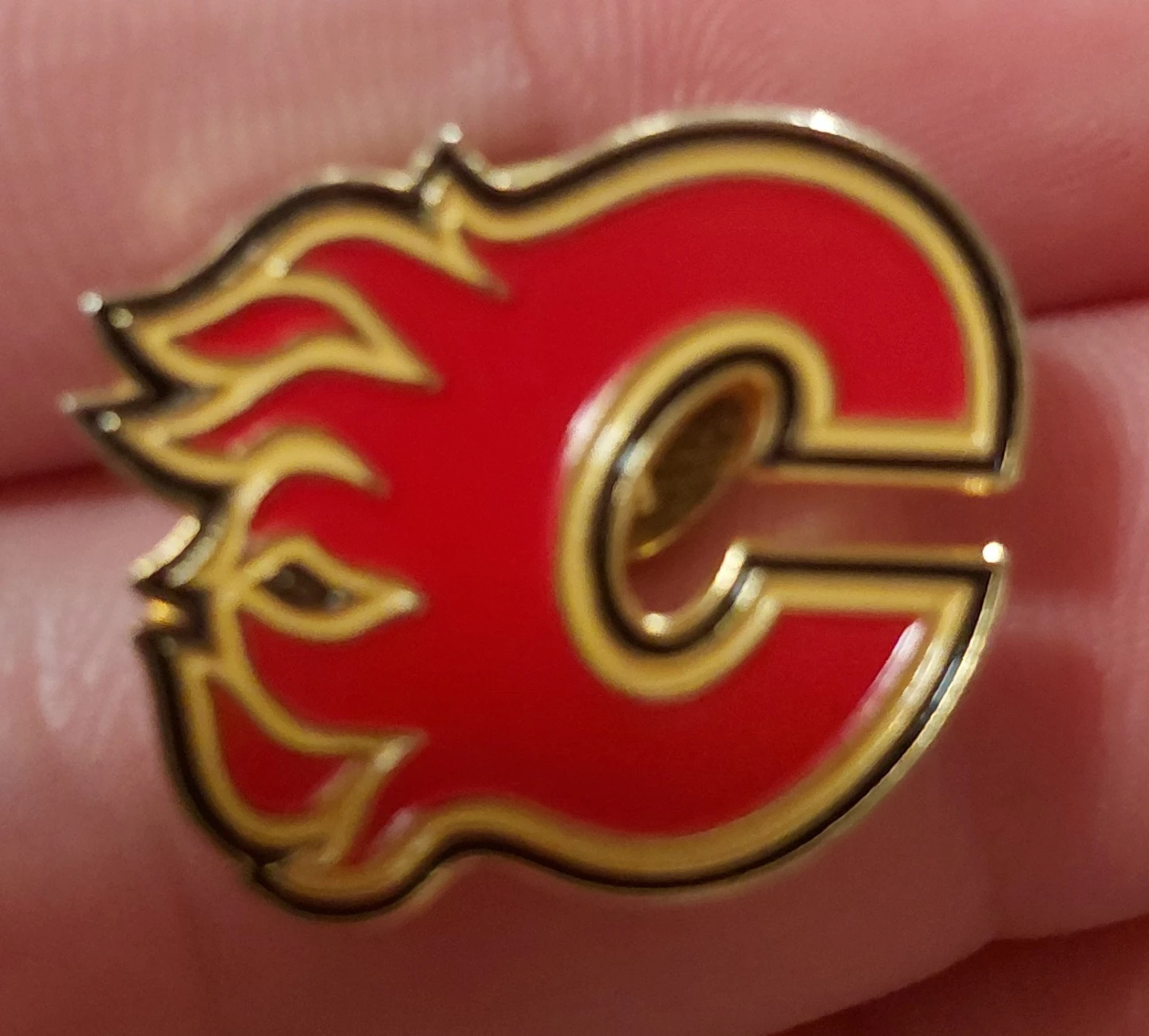 Collection of 5 Assorted Collectible Lapel Pins - photo 5