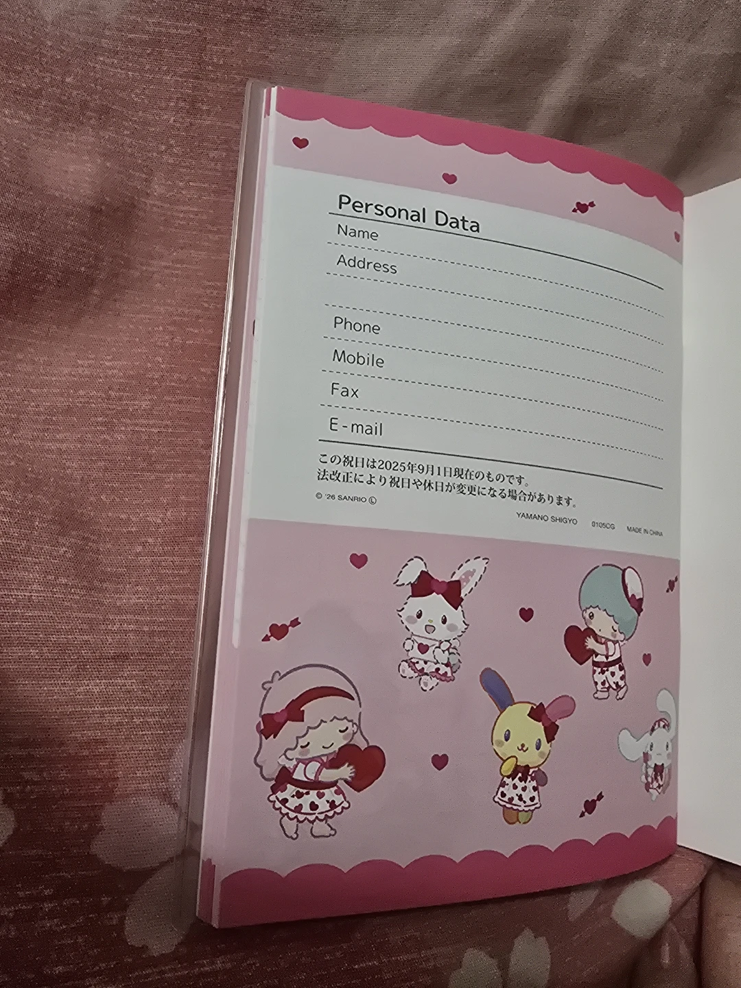 🏈Sanrio Characters Schedule Diary  Book Japan - photo 4