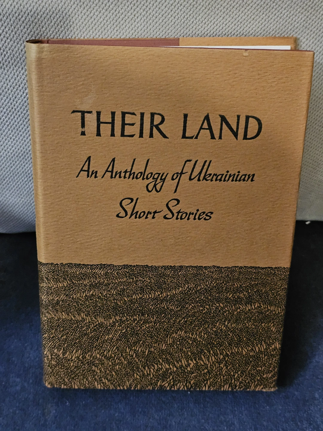 Their Land: An Anthology of Ukrainian Short Stories