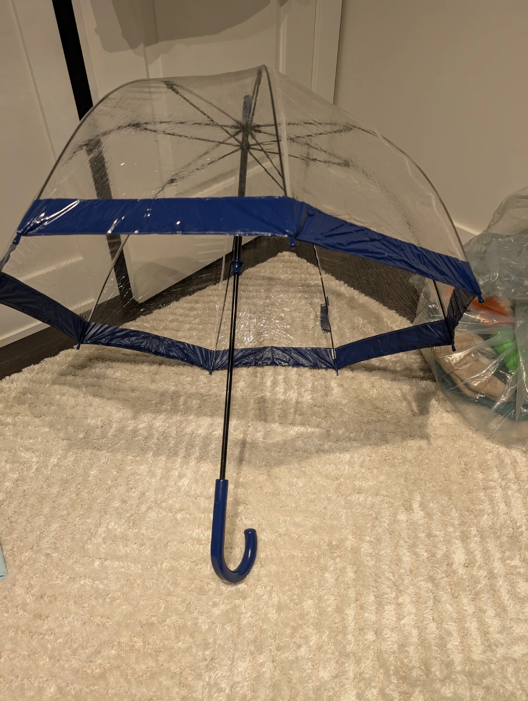 Clear Dome Umbrella with Navy Trim