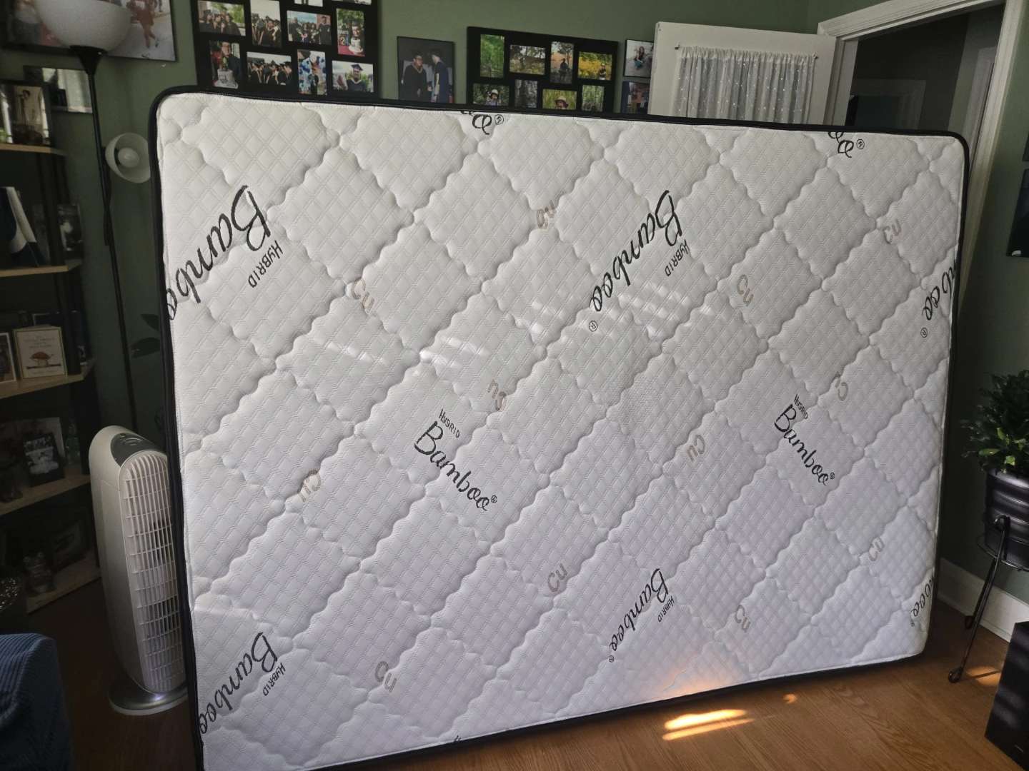 Queen size Bamboo Hybrid 8 inch firm Mattress