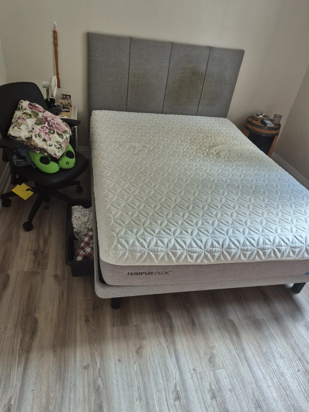 Tempur-Pedic Mattress