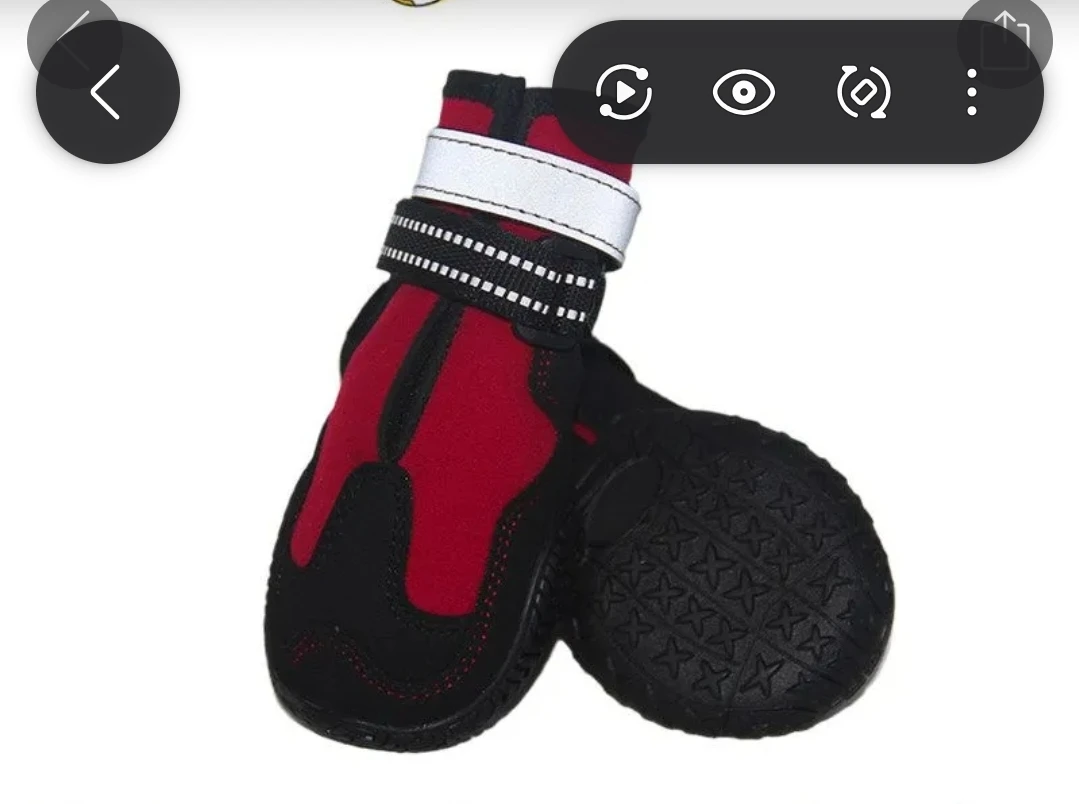 Dog Shoes Boots Set