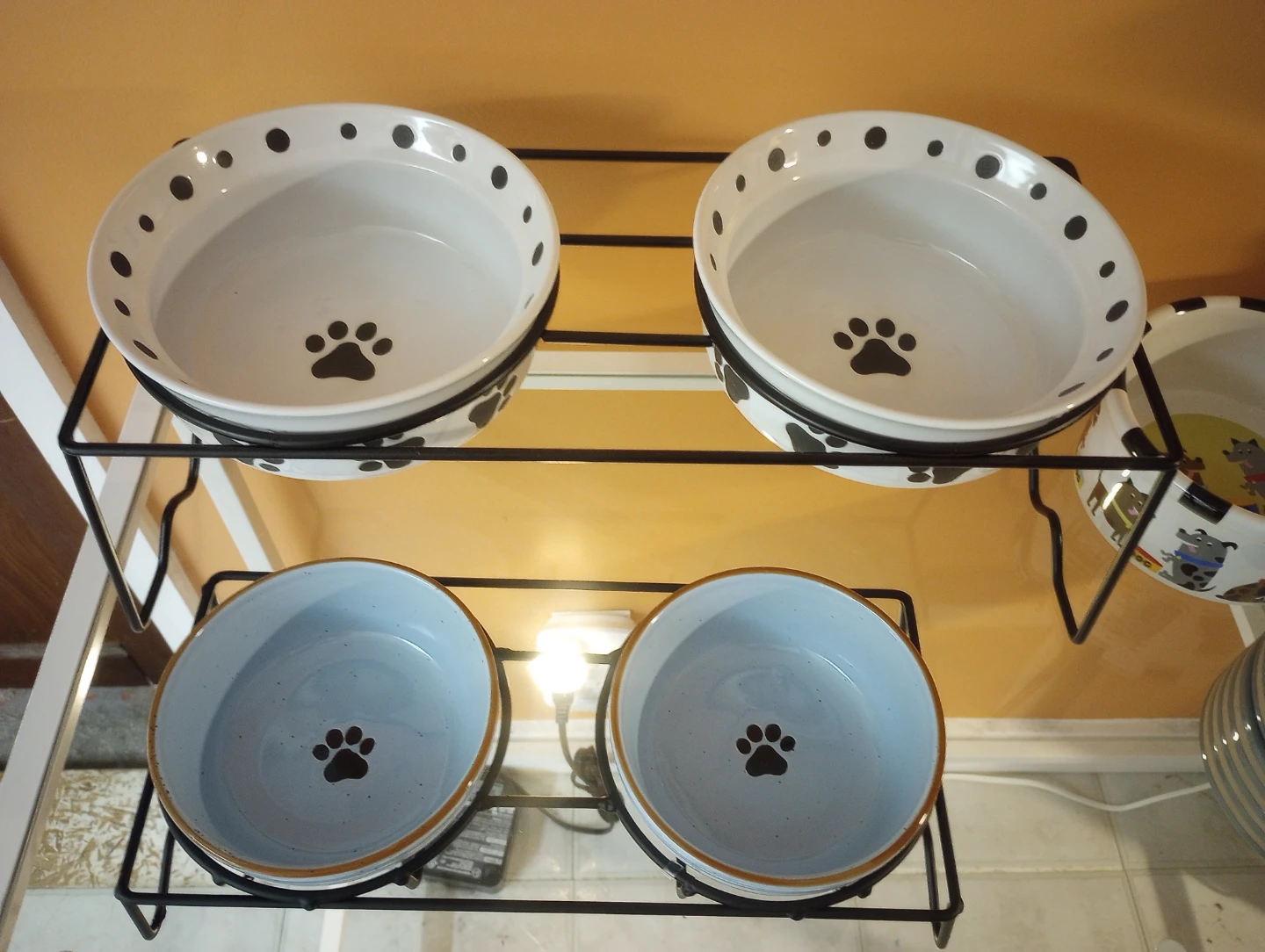 Pet Bowl Extravaganza - photo 3