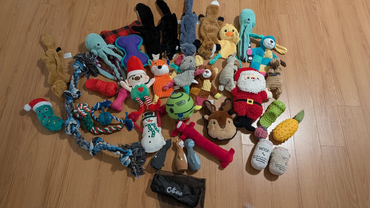 Large Collection of Assorted Dog Toys (Almost All Brand New)