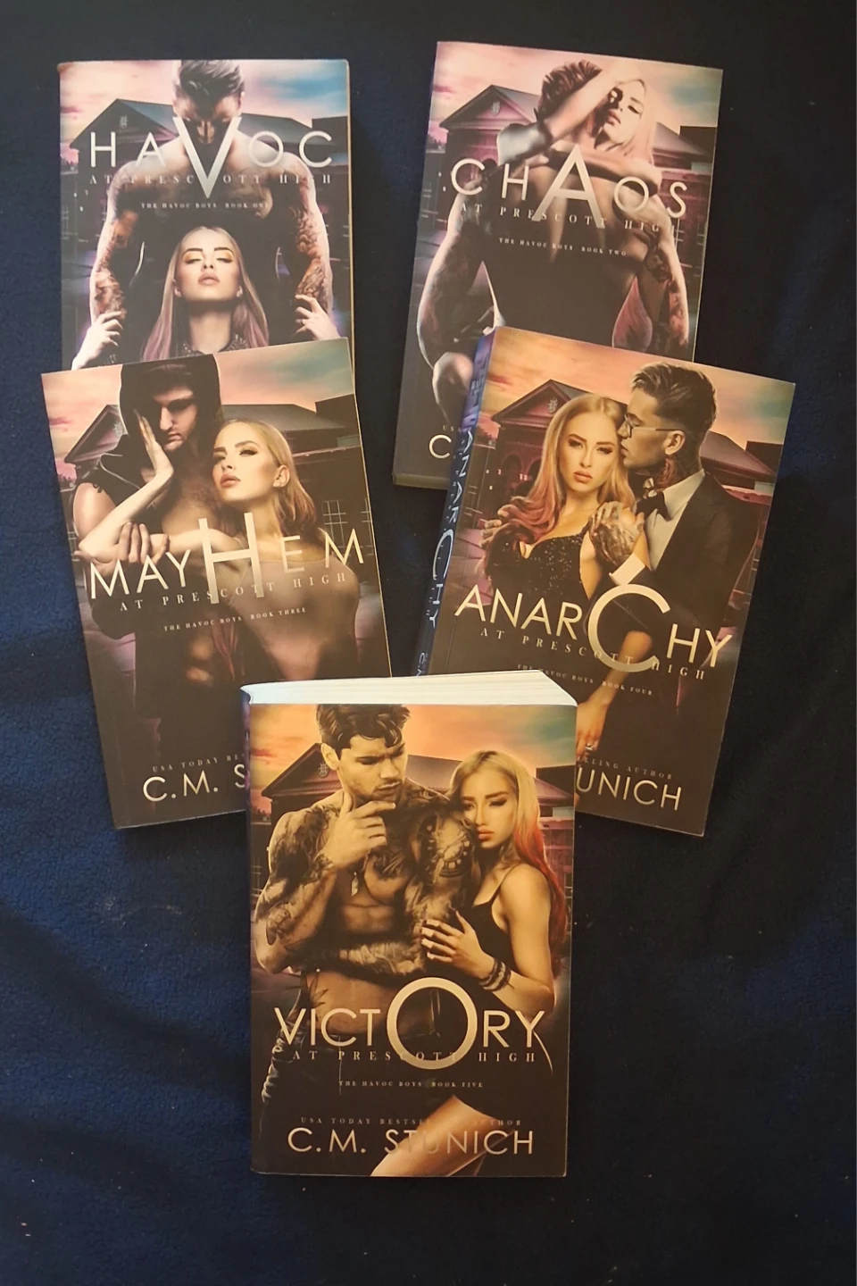 The Havoc Boys Series by C.M. Stunich