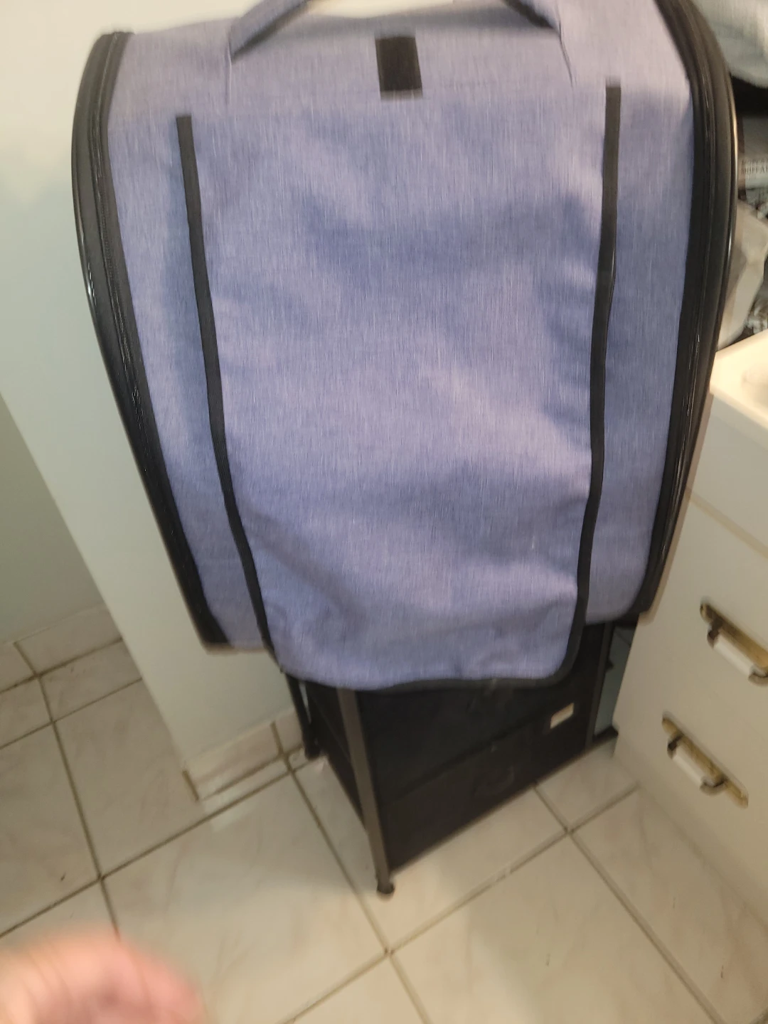 Pet Carrier Backpack